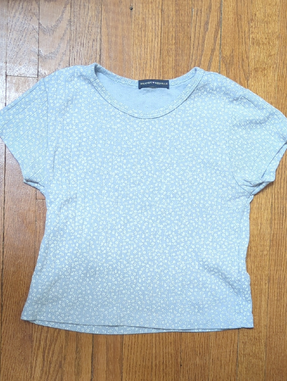 Brandy Melville Blue Floral Short Sleeve Cropped T-shirt